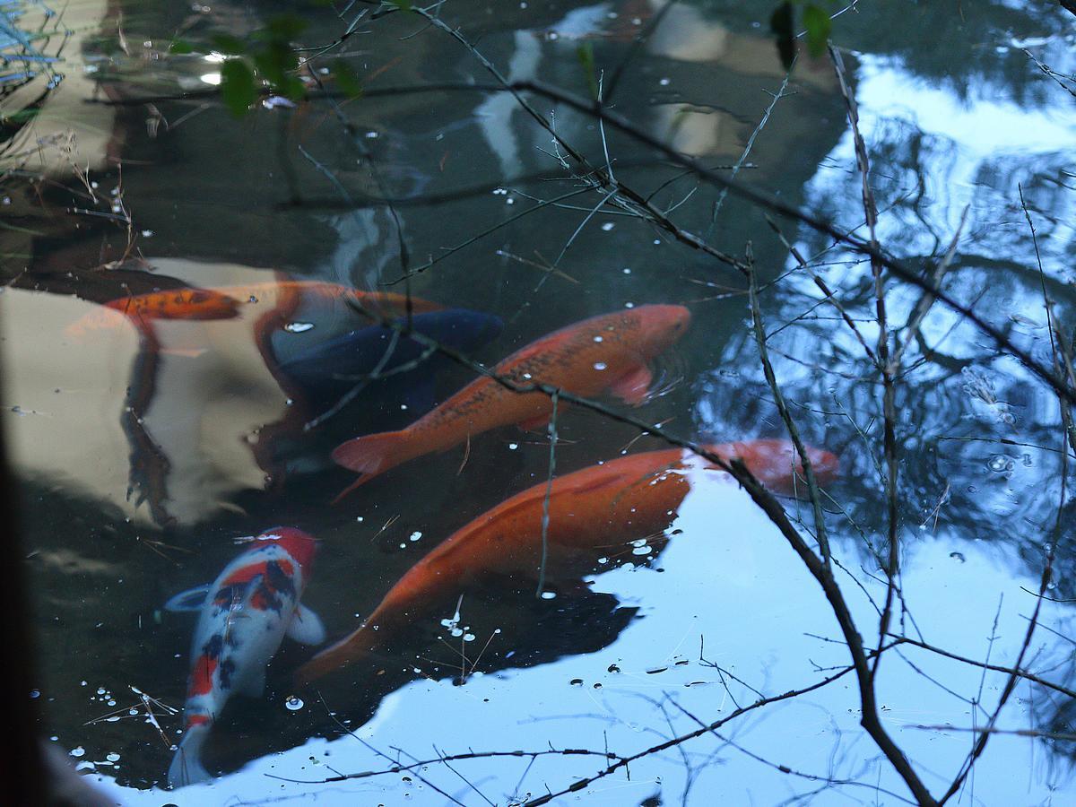 Nanzenji Sando Kikusui Kyoto Dış mekan fotoğraf