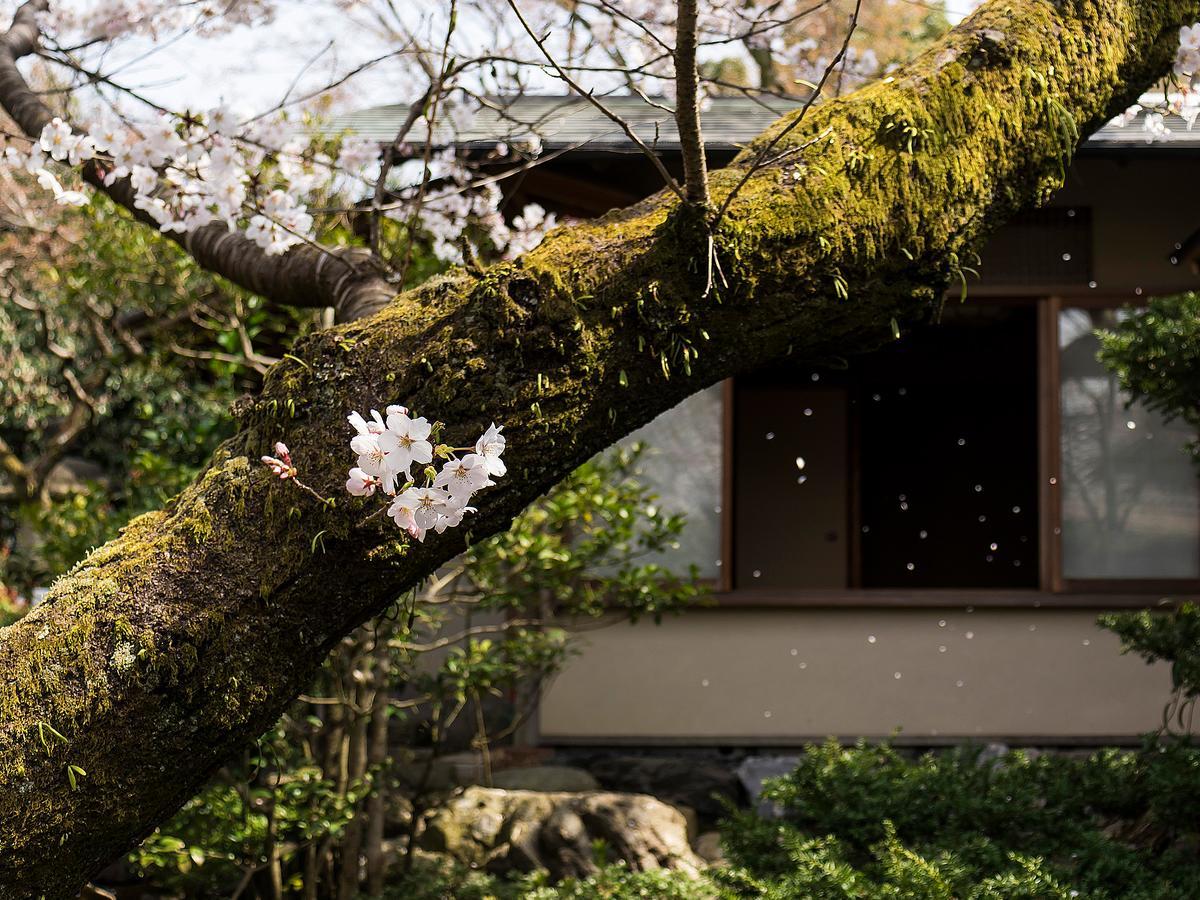 Nanzenji Sando Kikusui Kyoto Dış mekan fotoğraf