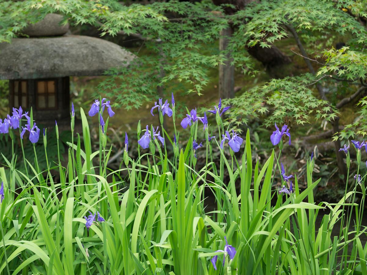 Nanzenji Sando Kikusui Kyoto Dış mekan fotoğraf